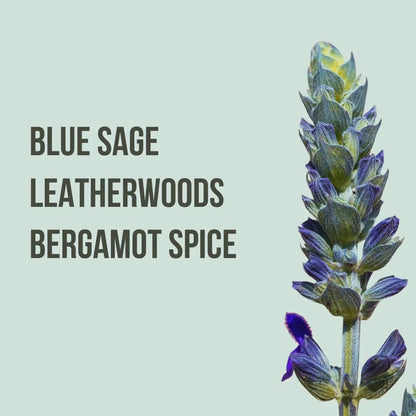 Beauty Creations Body - Mist Corporal