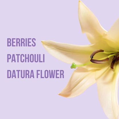 Beauty Creations Body - Mist Corporal