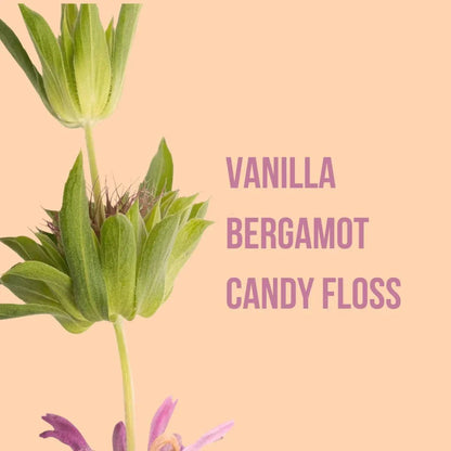 Beauty Creations Body - Loción Corporal